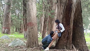 Aged Farmer Plows A Fresh Coed In The Dirt